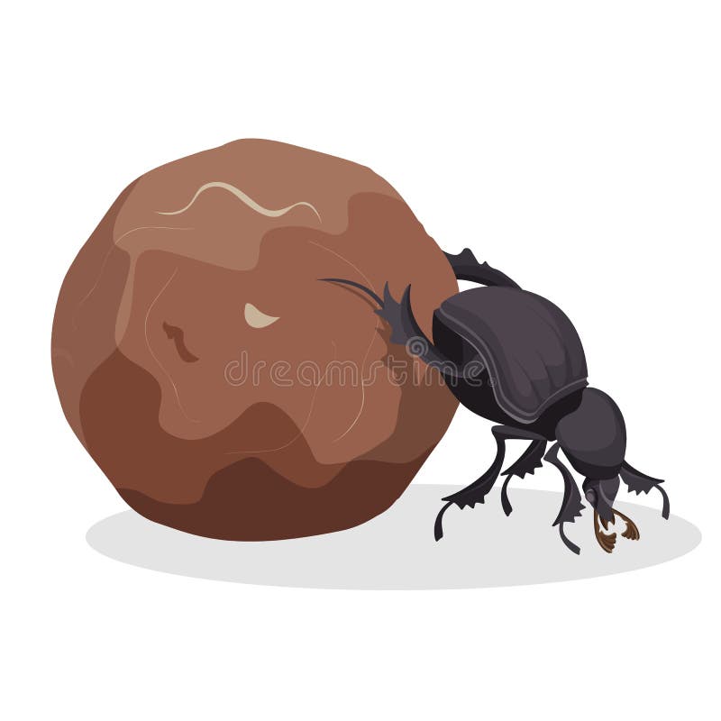Scarab Beetle Rolls A Ball Of Feces Monochrome Black Line Illustration  Vector Hand Drawn Sacred Insect Isolated On White Royalty Free SVG  Cliparts Vectors And Stock Illustration Image 163955615