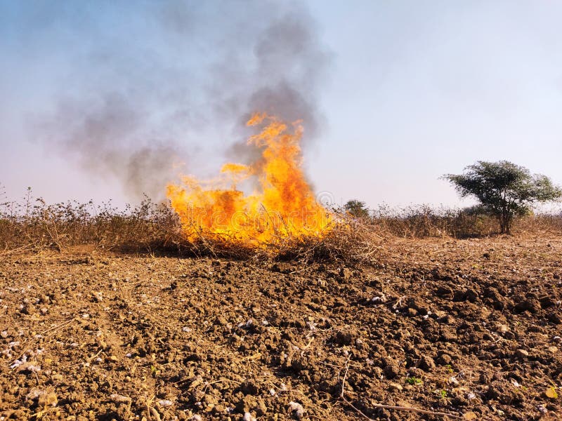 Weste Trash Stock Photos Free & RoyaltyFree Stock Photos from Dreamstime