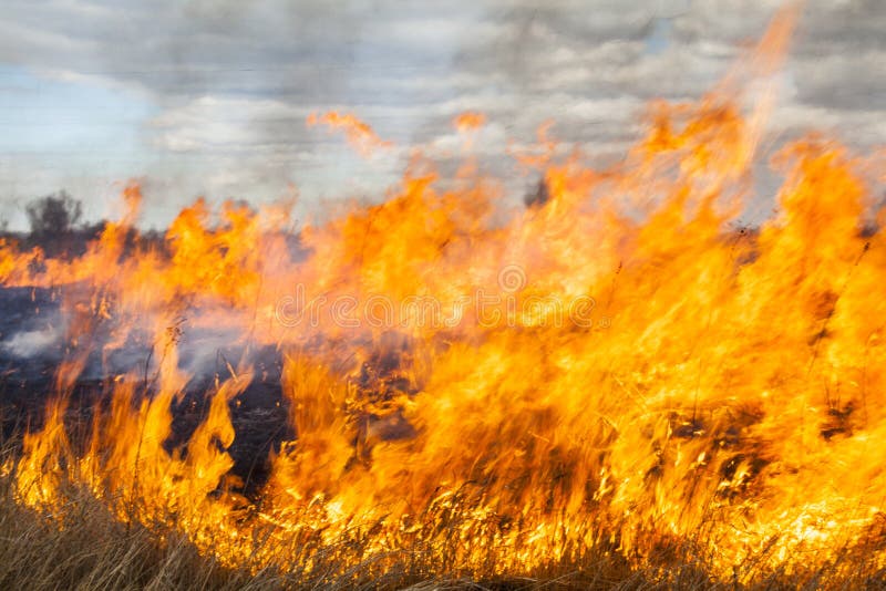 Big fire in the field stock photo. Image of grass, destroy 149319870
