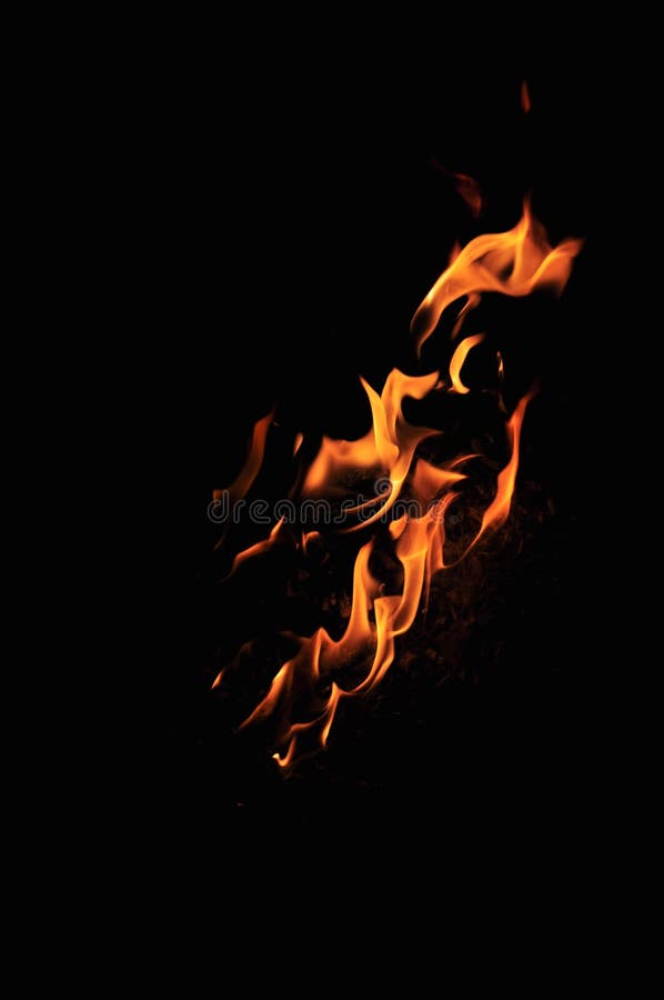 A Big Flame of Fire in the Dark. on a Black Background. Languages of Fire  Stock Photo - Image of burning, campfire: 150991782