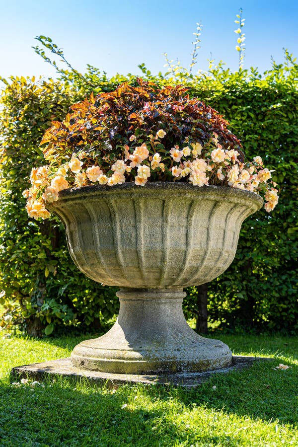 Big flowerpot on the green grass near a green bush stock images