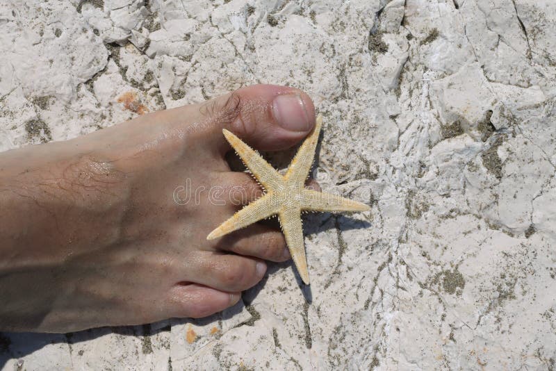 Big foot barefoot of a young man and starfish stock images