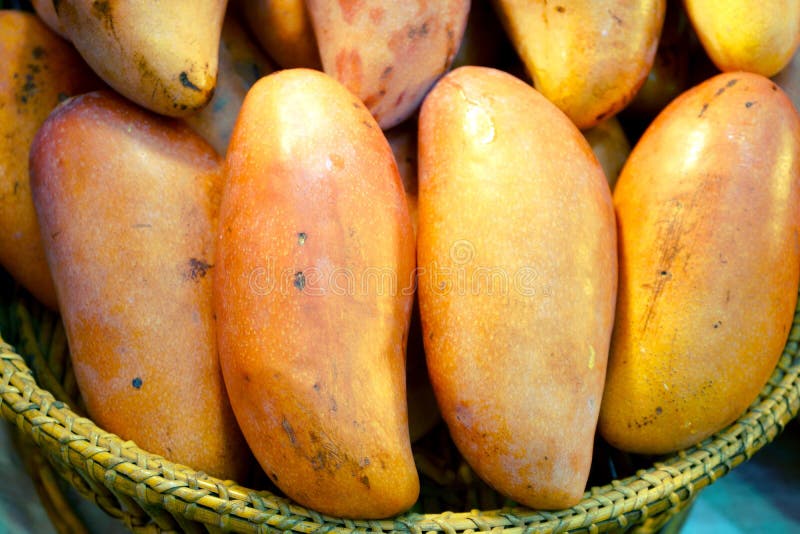 Big Mango Basket Stock Photos Free & RoyaltyFree Stock Photos from