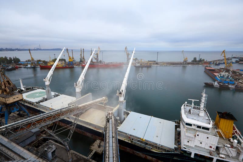 Big grain terminal at seaport. Cereals bulk transshipment from road transport to vessel. Loading grain crops on bulk