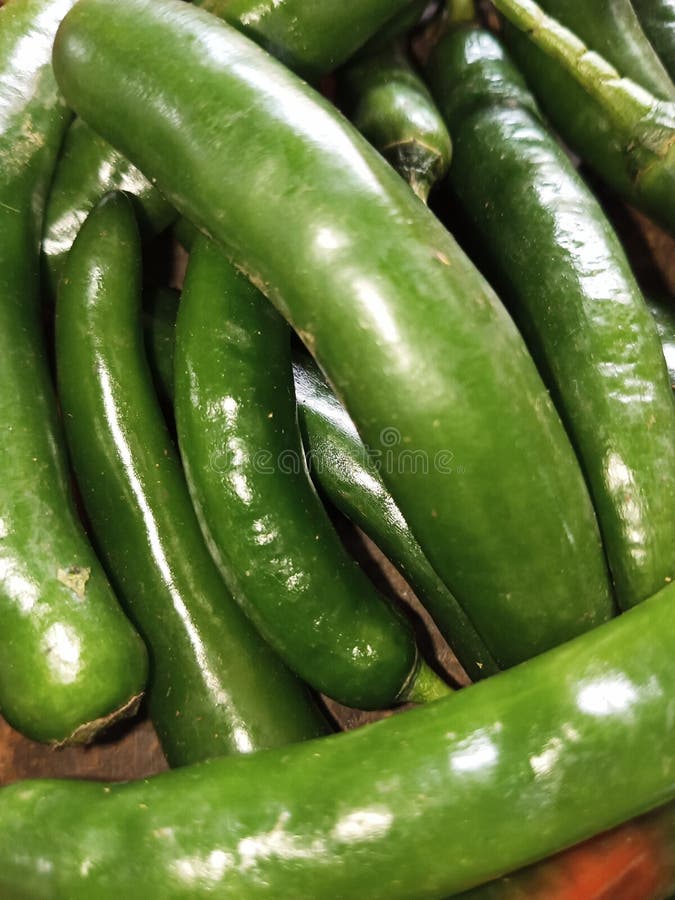 Big Green Chilies are Delicious and Spicy in Taste Stock Image Image