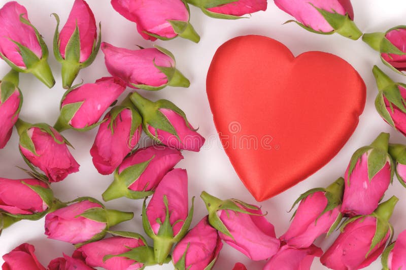 Two heart flower stock photo. Image of delicate, leaf - 27063562