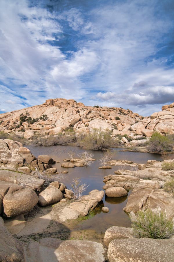 Big horn dam and desert landscape at Joshua Tree National Park in California