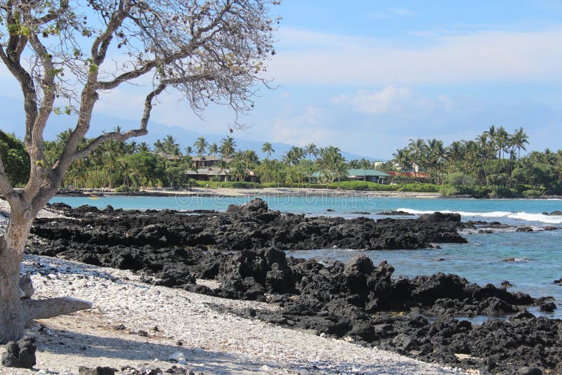 Big Island Hawaii Shoreline