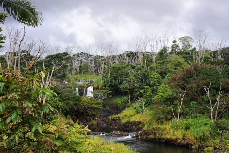 42770 Island Waterfall Photos Free And Royalty Free Stock Photos From