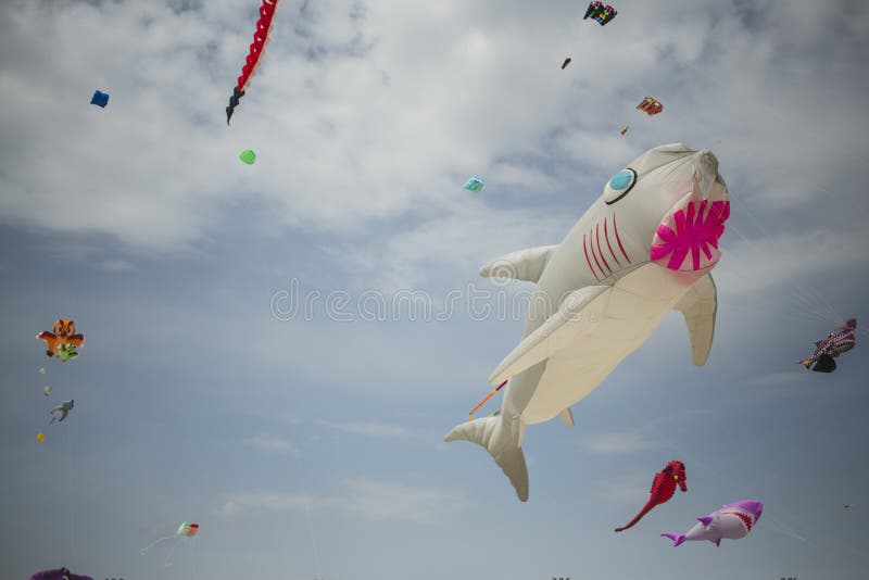 Kite shark high up stock photo. Image of outdoors, holiday 9973904