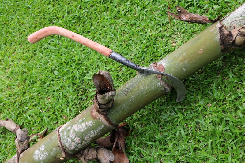 The Big Knife with Long Wooden Handle that Cutting Trees Stock Image