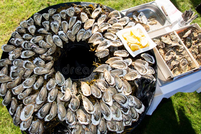 Big large tasty oysters on the plate on round table in party in Cap Ferret Arcachon bay France stock photo Big large tasty oysters on the plate on round table in party in Cap Ferret Arcachon bay France stock photo