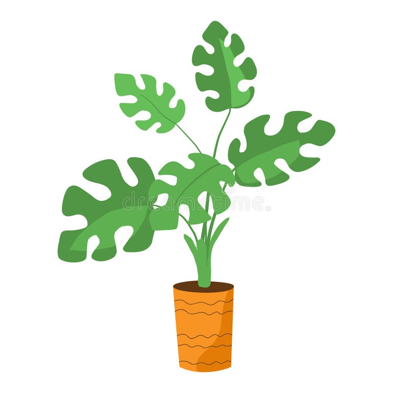Big Monstera in a Flower Pot Hand Drawn Flat. Home Plant with Large ...