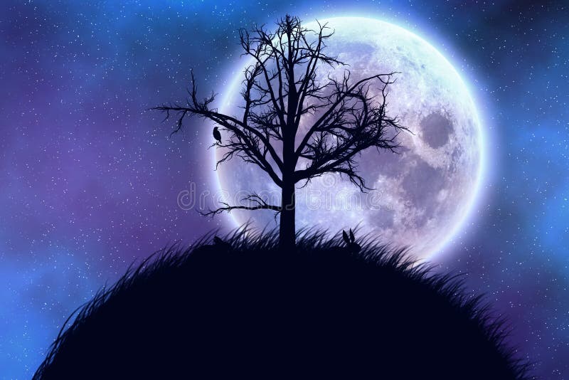 Big Moon Tree Stock Illustrations – 4,383 Big Moon Tree Stock