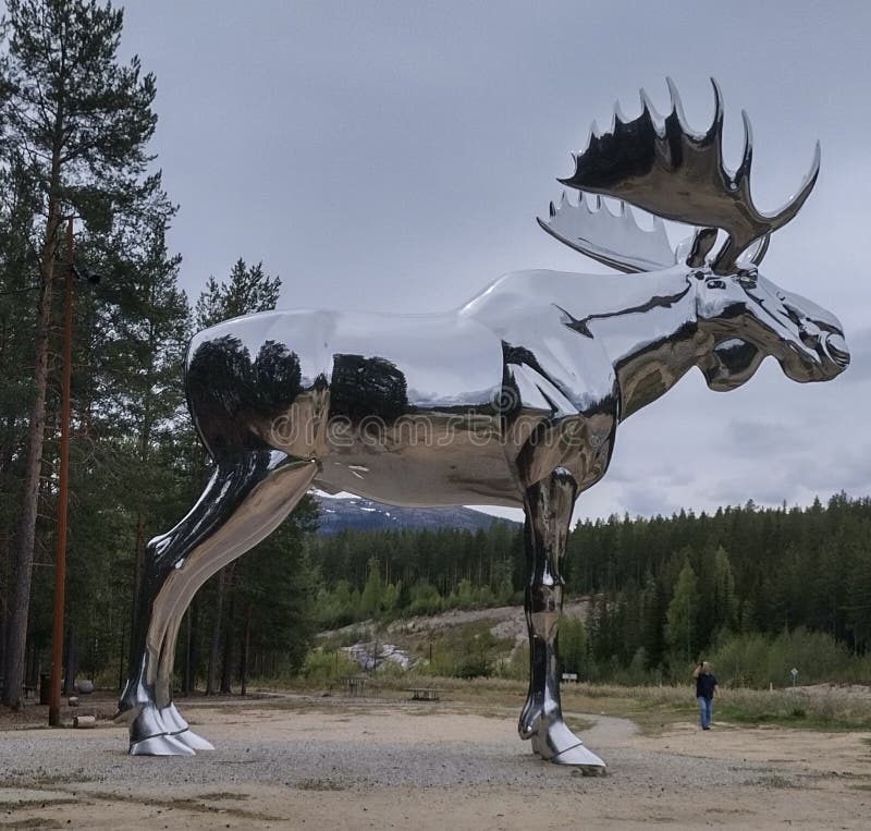 352 Moose Statue Stock Photos - Free & Royalty-Free Stock 352 Moose Statue Stock Photos - Free & Royalty-Free Stock