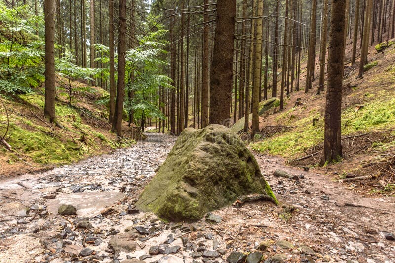 A Big Mossy Green Rock In Between A Forest Path Stock Photo Image Of