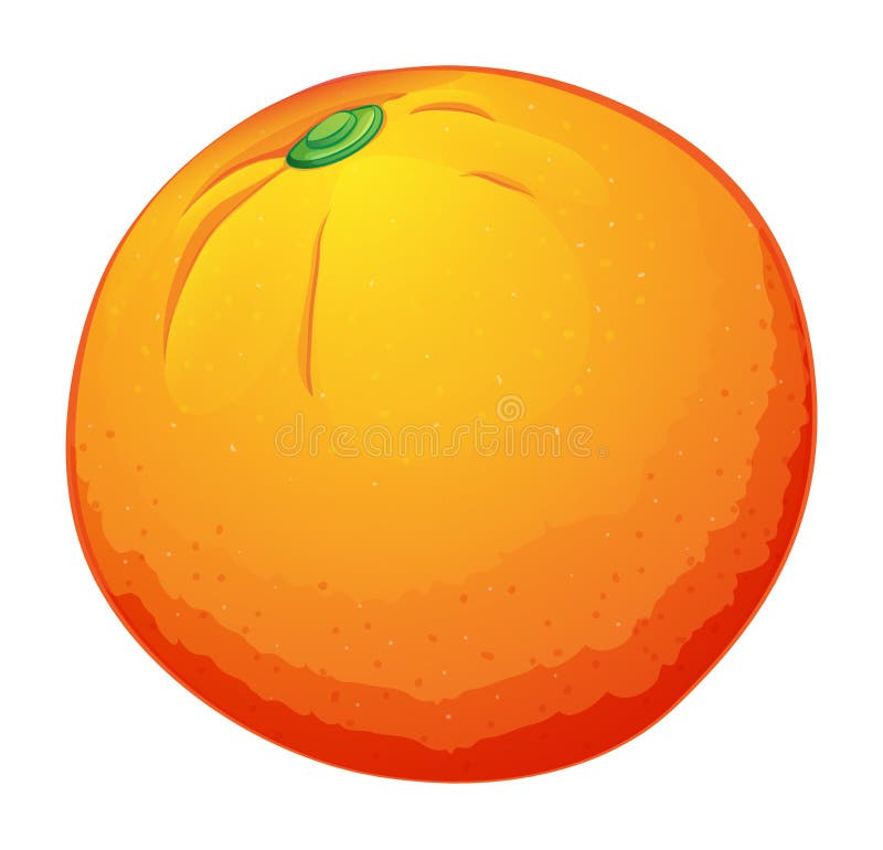 A big orange stock vector. Illustration of juicy, everyday - 41674202