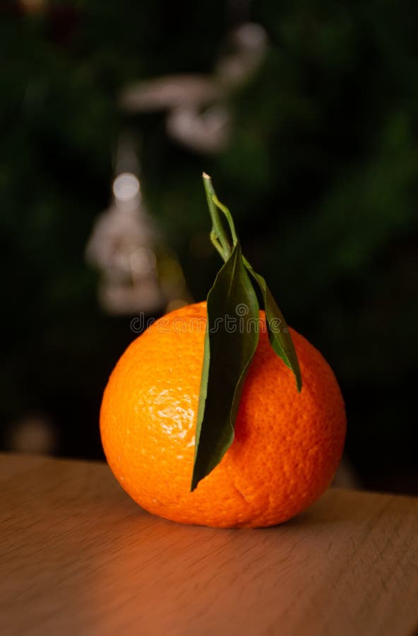 Orange Mandarin on Christmas Tree Background Stock Image Image of