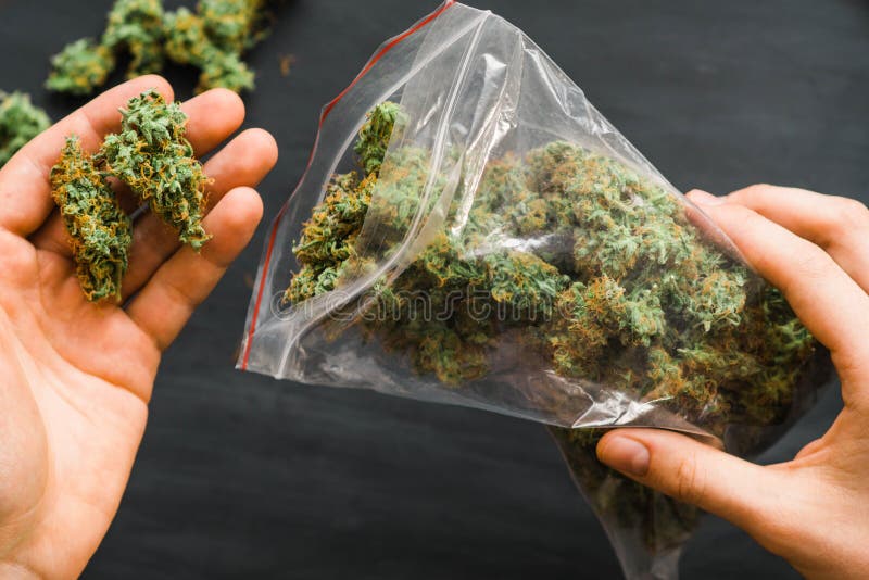 Big Package Weed in Hand .a Lot of Marijuana Package with Weed Stock Photo  - Image of narcotic, illegal: 121813924