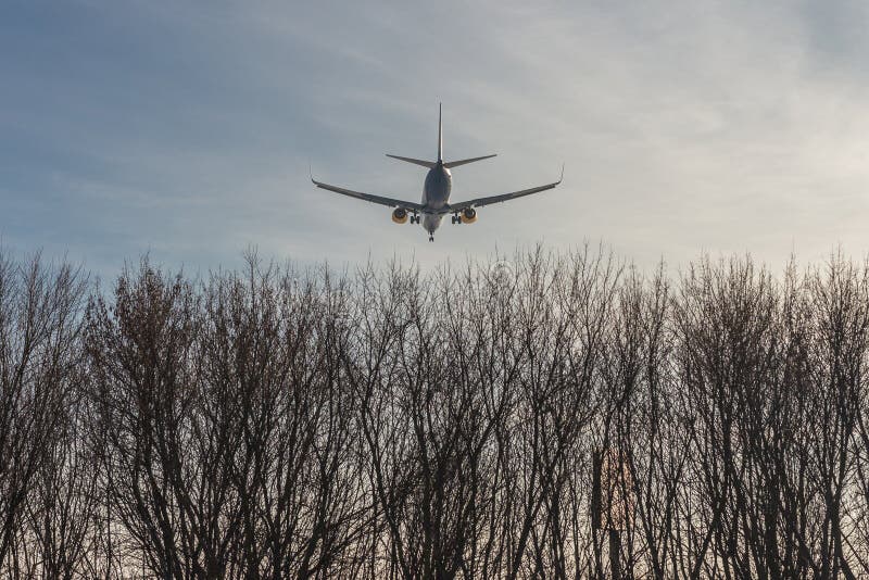 Big passenger airlplane flying low over forest trees against clear blue sky during sunset. Landing or take off. Bottom view. Copys stock image Big passenger airlplane flying low over forest trees against clear blue sky during sunset. Landing or take off. Bottom view. Copys stock image