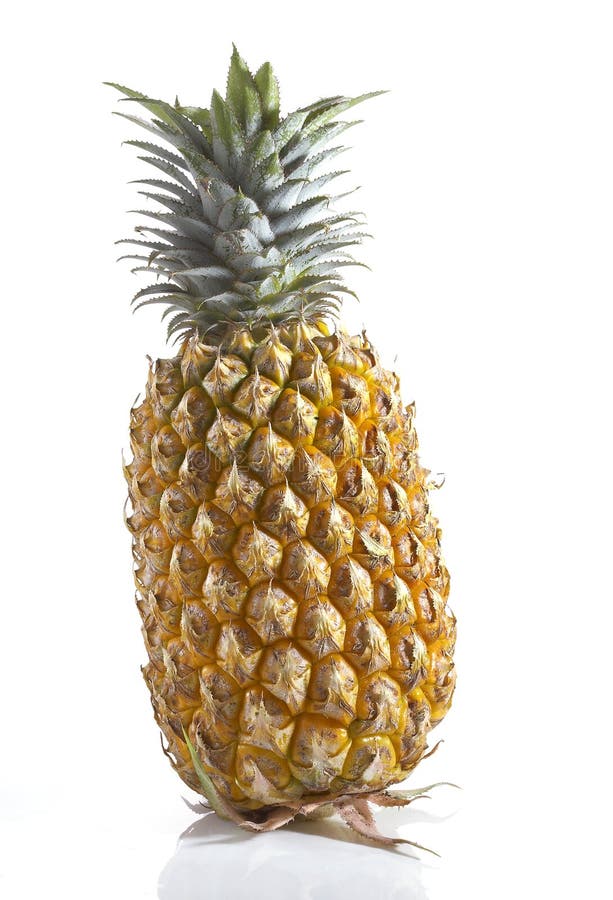 Big pineapple stock image. Image of drink, organic, gourmet 41469165
