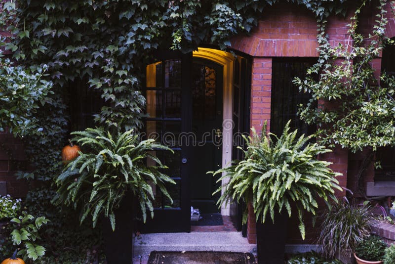 Big Planters with Various Plants Set Against Brick Wall with Windows