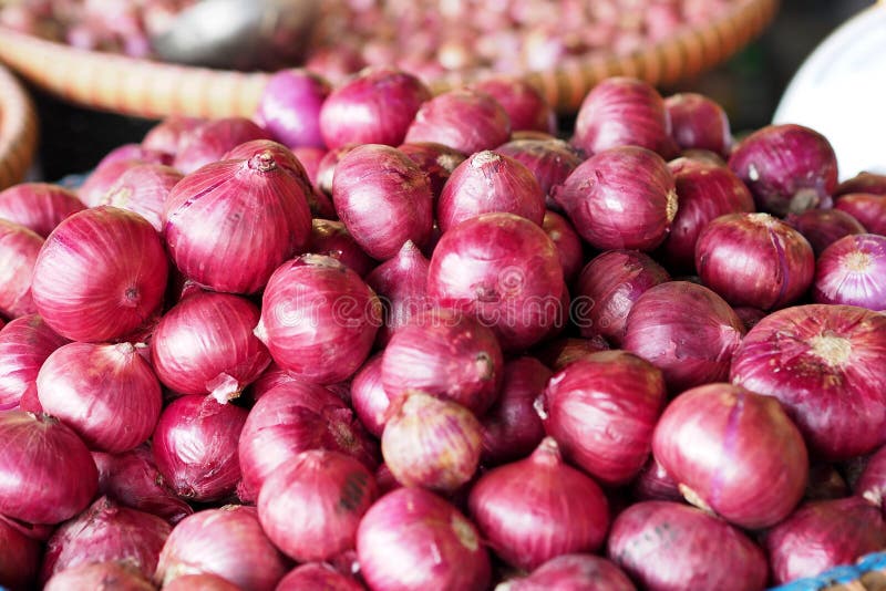 Big Red Onions in the Basket for Sell Stock Photo Image of flat