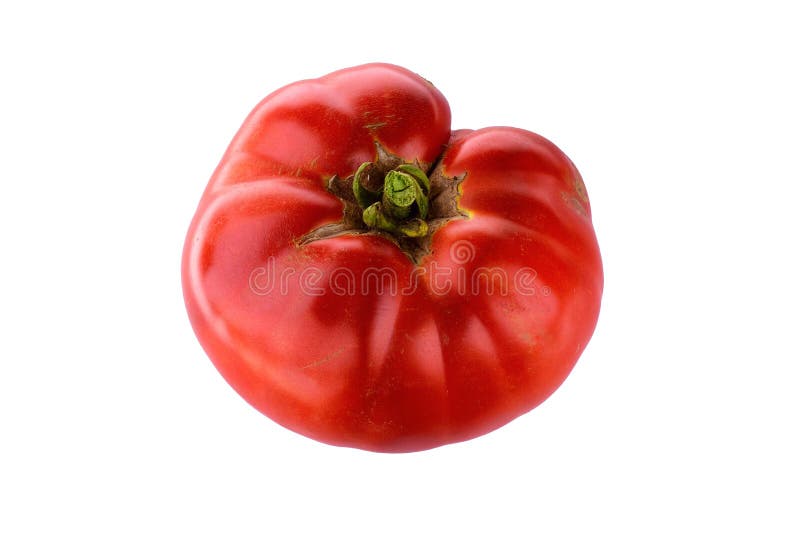 Big Red Ripe Home Grown Tomato stock image Big Red Ripe Home Grown Tomato stock image