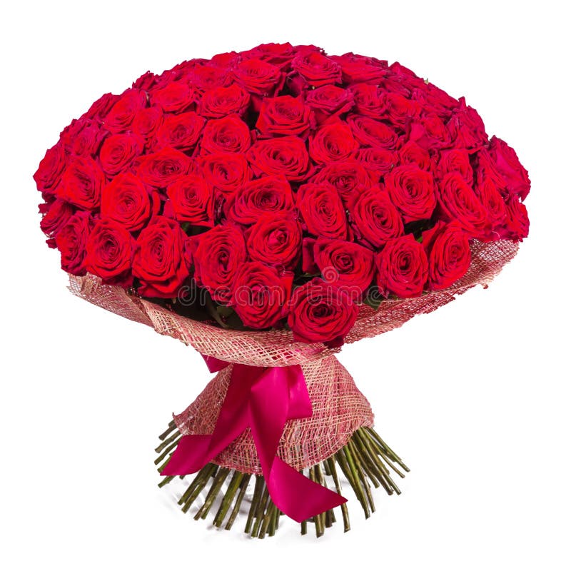 Big Red Roses Bunch Isolated on White Background Stock Image Image of