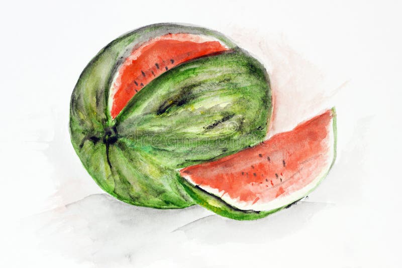 Watercolor watermelon stock illustration. Illustration of life - 28047934