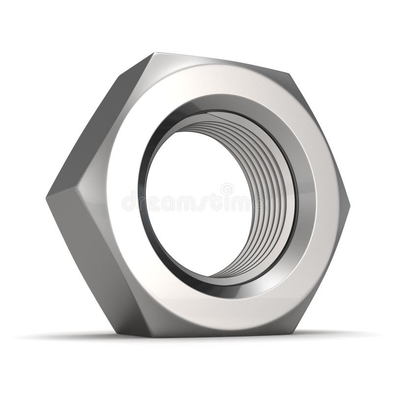 Big nut vector illustration