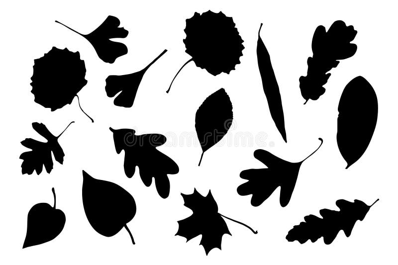 Big Set of Basic Hand Draw