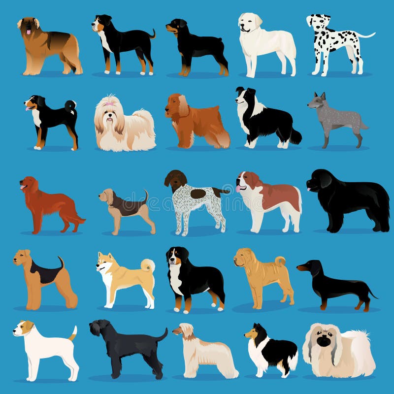 Big set of dogs illustration