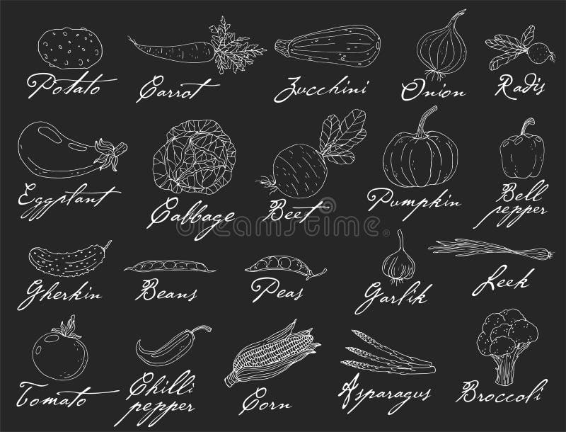 Big set elements with hand drawn vegetables on a chalkboard background royalty free illustration