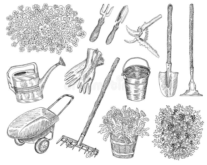 Big set with garden tools and plants