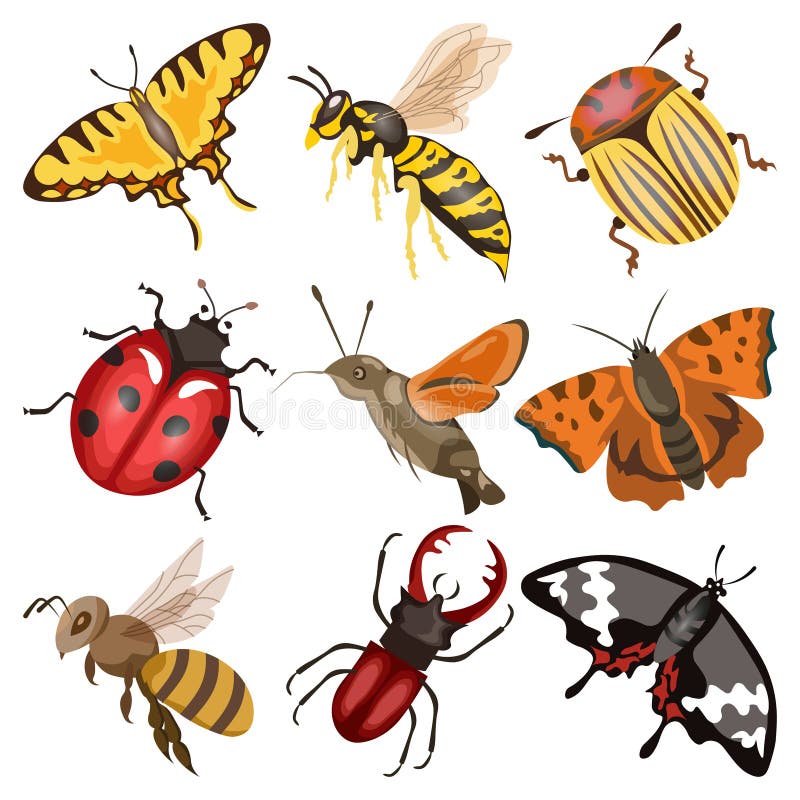 Butterfly Insects Bee Ladybug Stock Vector - Illustration of animal ...