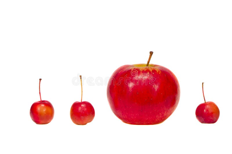 https://thumbs.dreamstime.com/b/big-small-red-apples-isolated-white-28758033.jpg