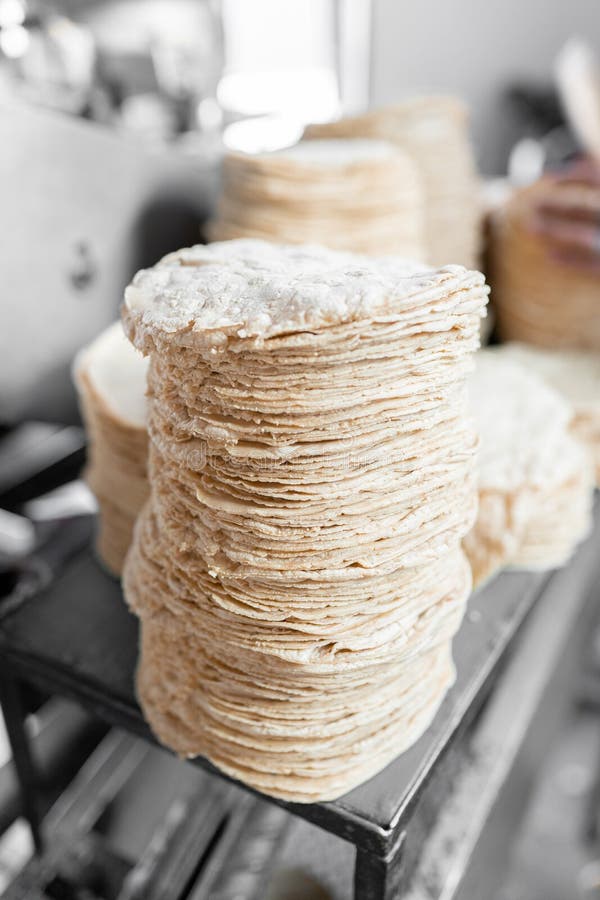 A Big Stack of Fresh Corn Tortillas are Resting on a Counter Stock