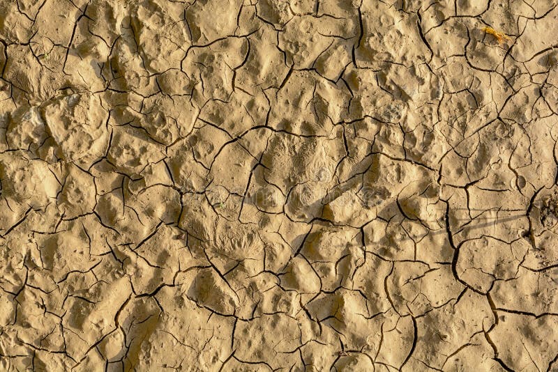 Big stone texture of dry crack on the ground in drought season royalty free stock photography Big stone texture of dry crack on the ground in drought season royalty free stock photography