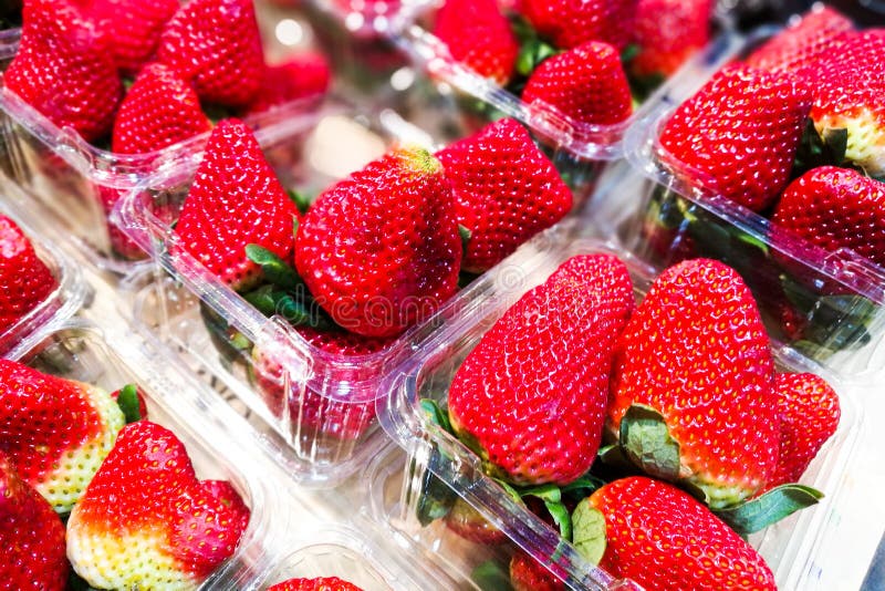 Big Strawberries in Containers Stock Photo - Image of cardboard ...