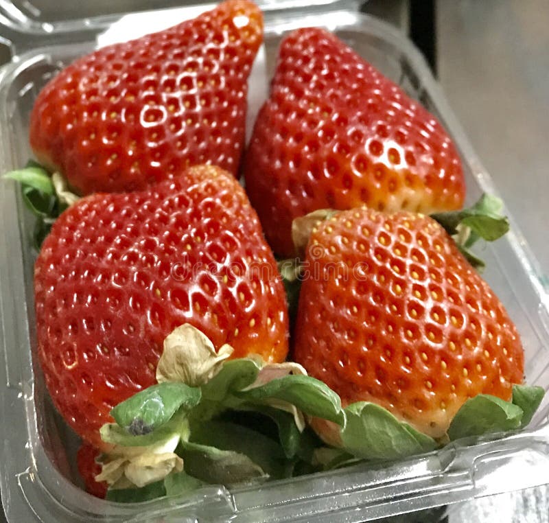 Big strawberry stock image. Image of fresh, feel, refreshment 101390341