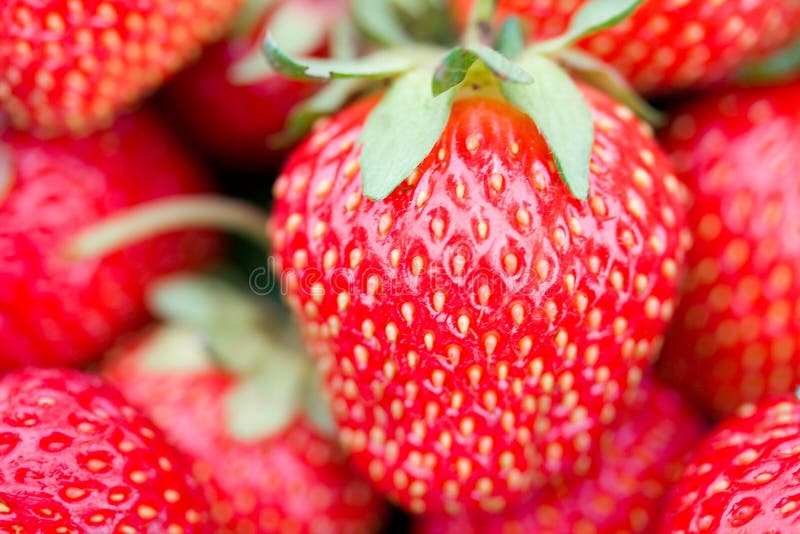 Big strawberry with shalow depth of view