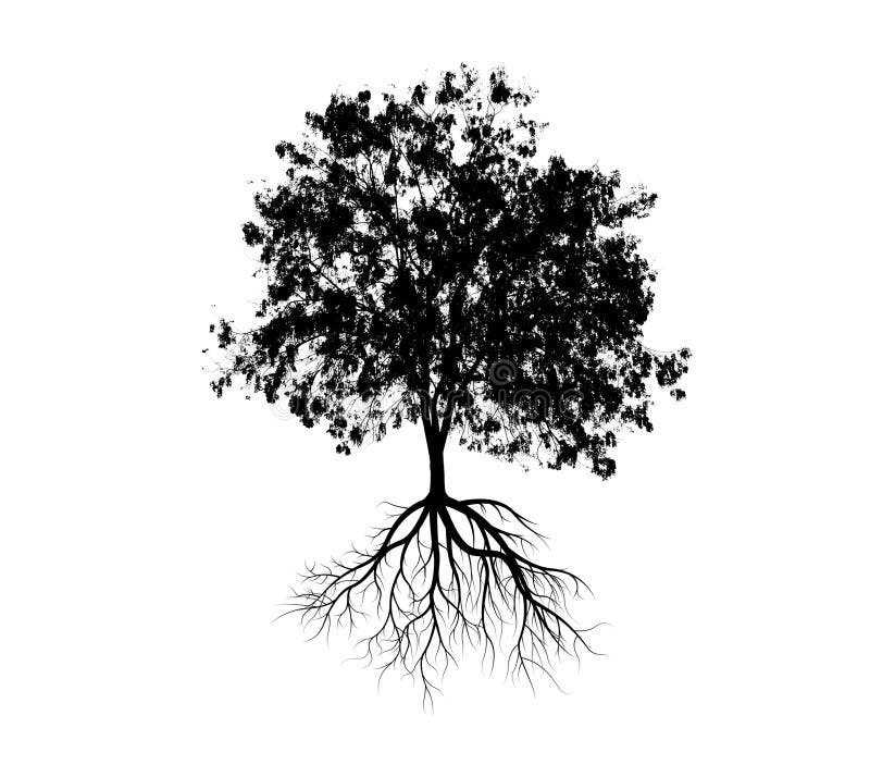Big tree silhouettes royalty free stock image