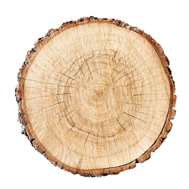 https://thumbs.dreamstime.com/b/big-tree-trunk-slice-cut-woods-textured-surface-rings-cracks-neutral-brown-background-made-hardwood-130428158.jpg