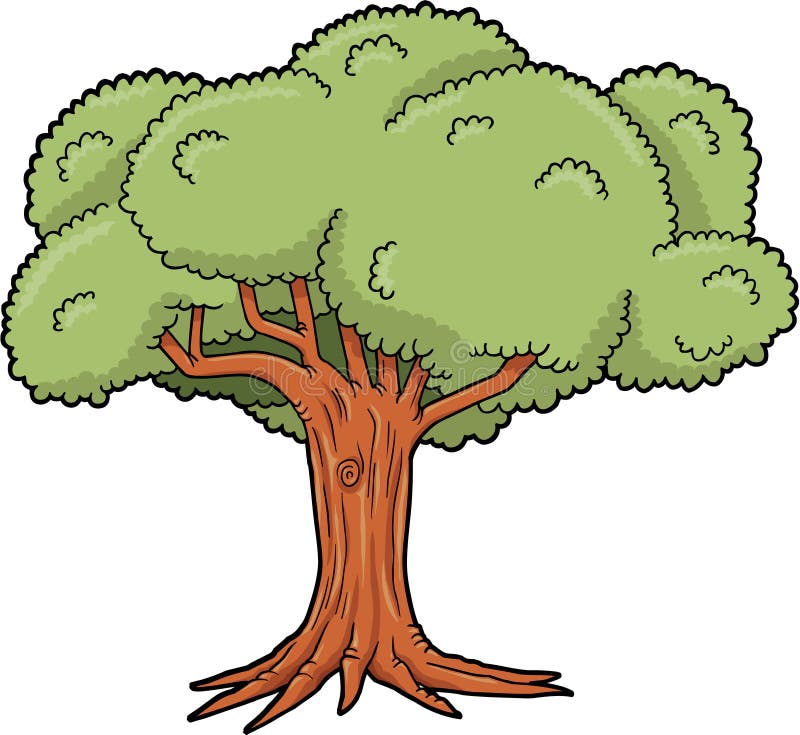 Big Tree Vector stock vector. Image of clip, bark, illustration - 6419161