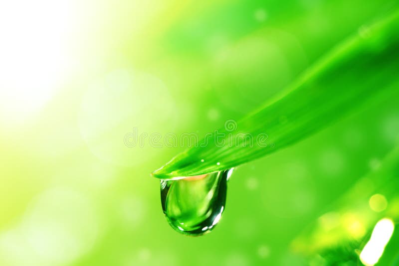 Big water drop stock photos