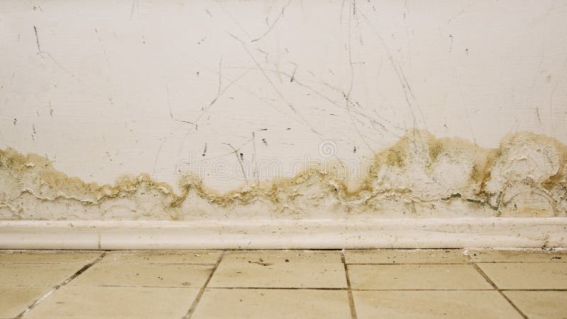 Big Wet Spots And Black Mold On The Wall Of The Domestic House