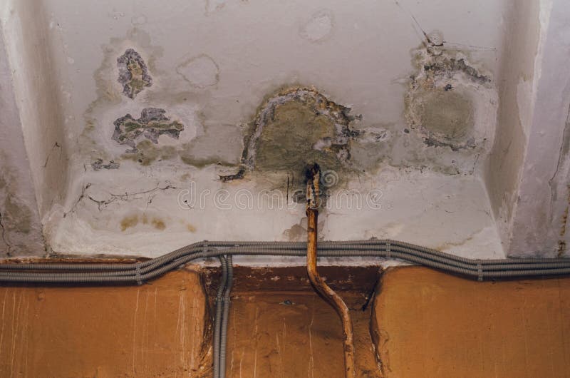 water spots on ceiling after heavy rain water spots on ceiling after heavy rain