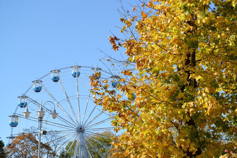 Il grande girare autunno contro cielo blu.