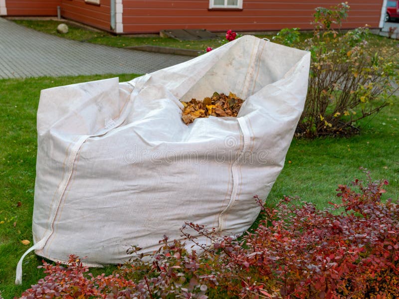 Big White Garbage Bags for Tree Leaves Stock Image Image of house